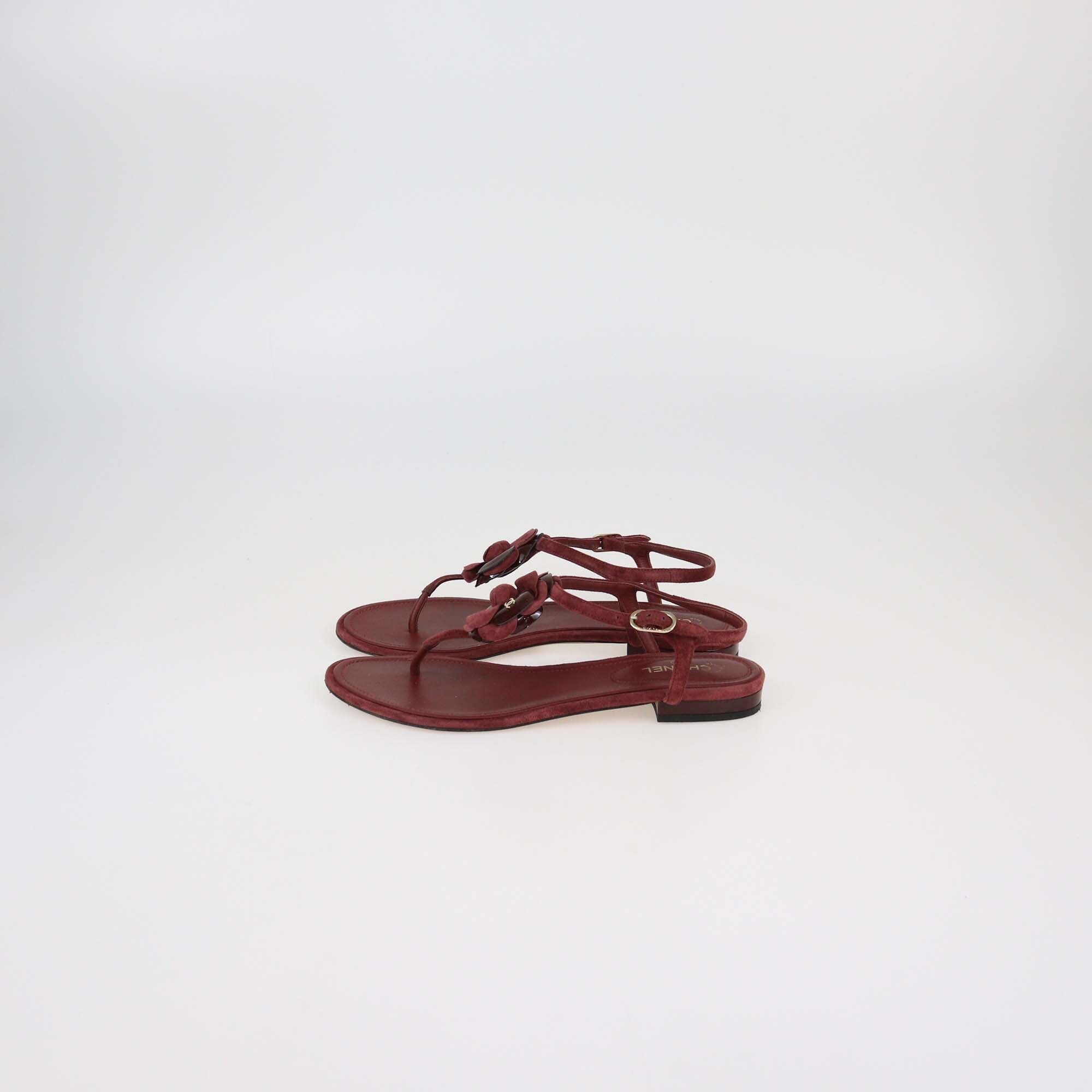 Chanel Burgundy Suede Leather CC Camellia Flat Thong Sandals Womens Chanel