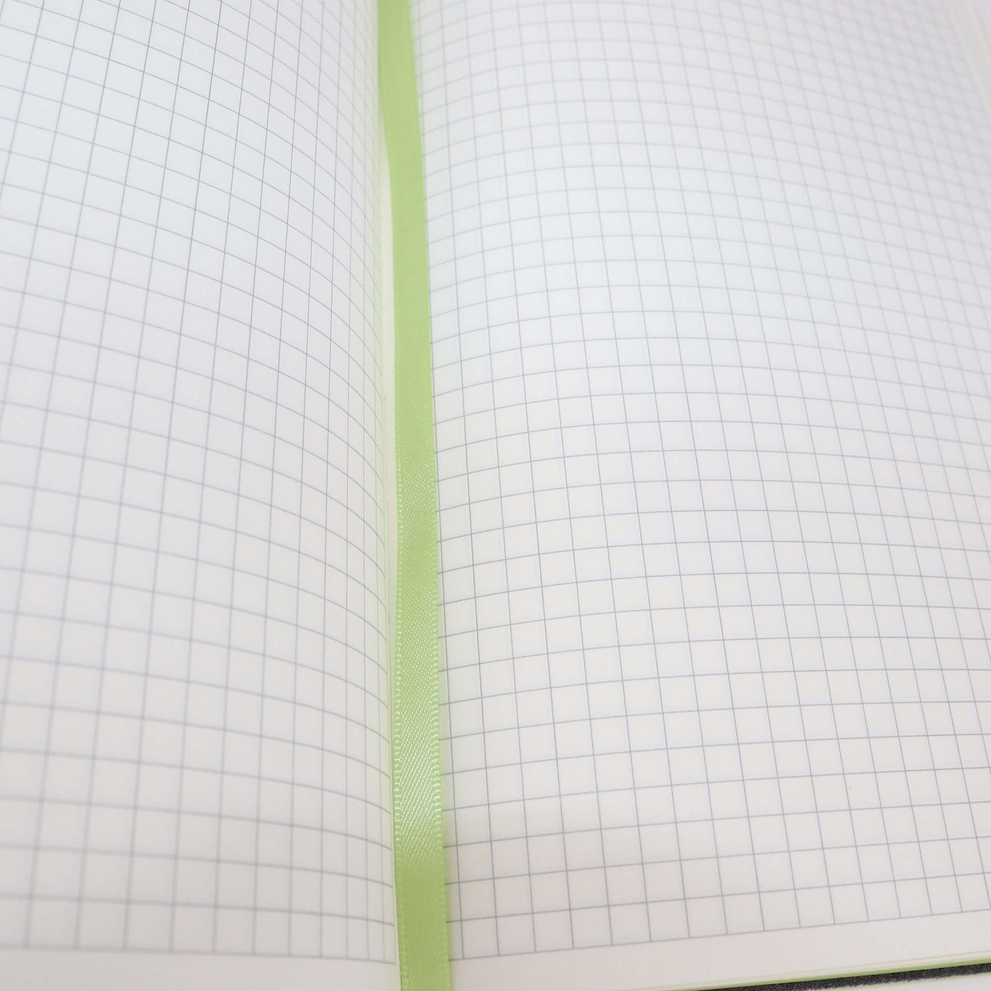 Ancora Light Green Traveler Notebook