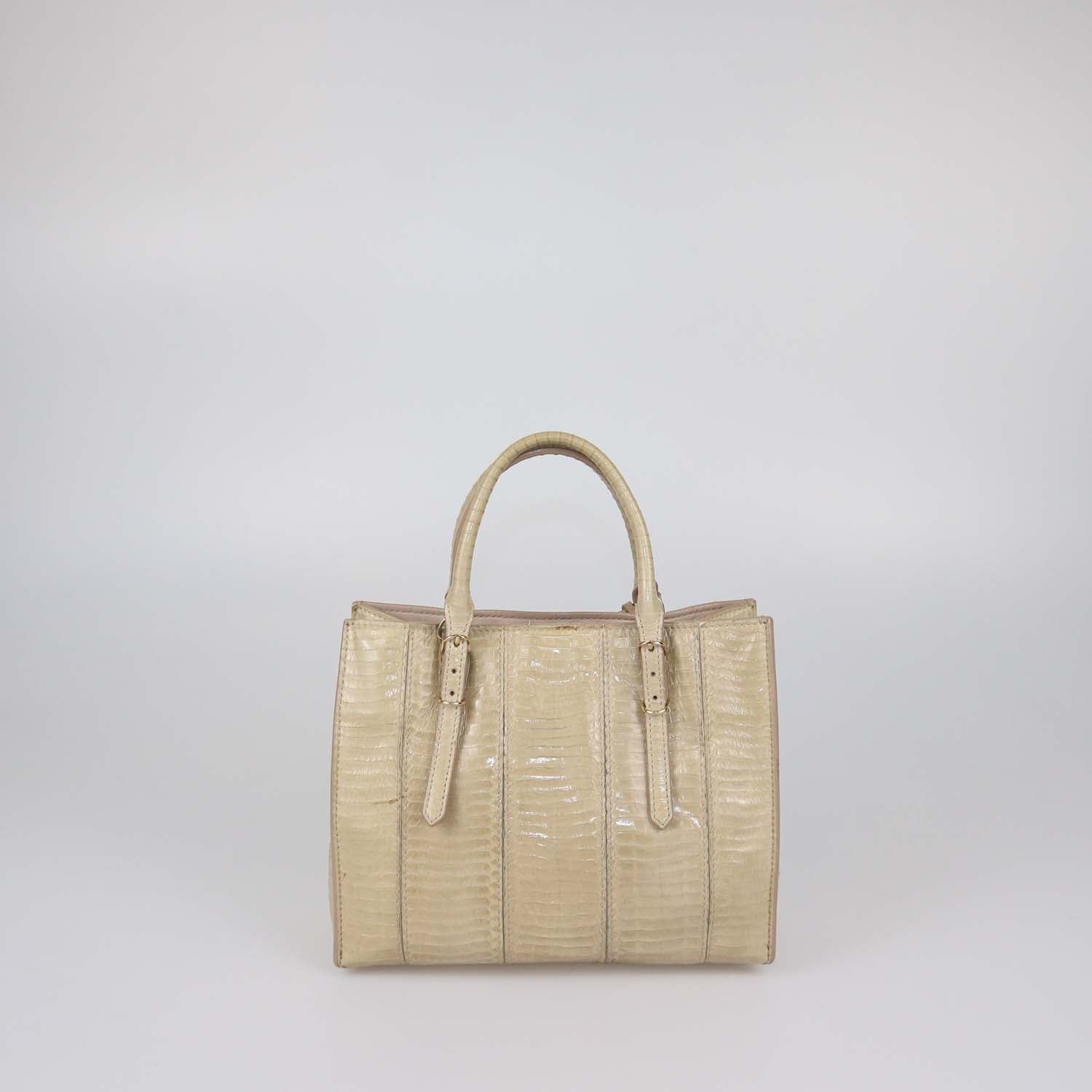 Balenciaga Beige Python Mini Papier Tote