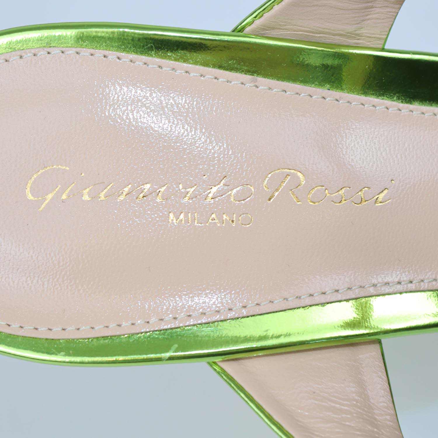 Gianvito Rossi Metal Kiwi Leather Aura Mules