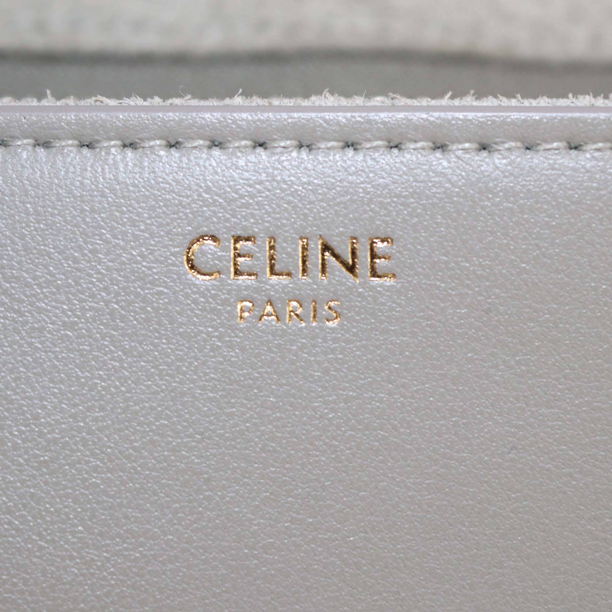 Celine Pistachio Green Teen 16 Crossbody Bag Womens Celine