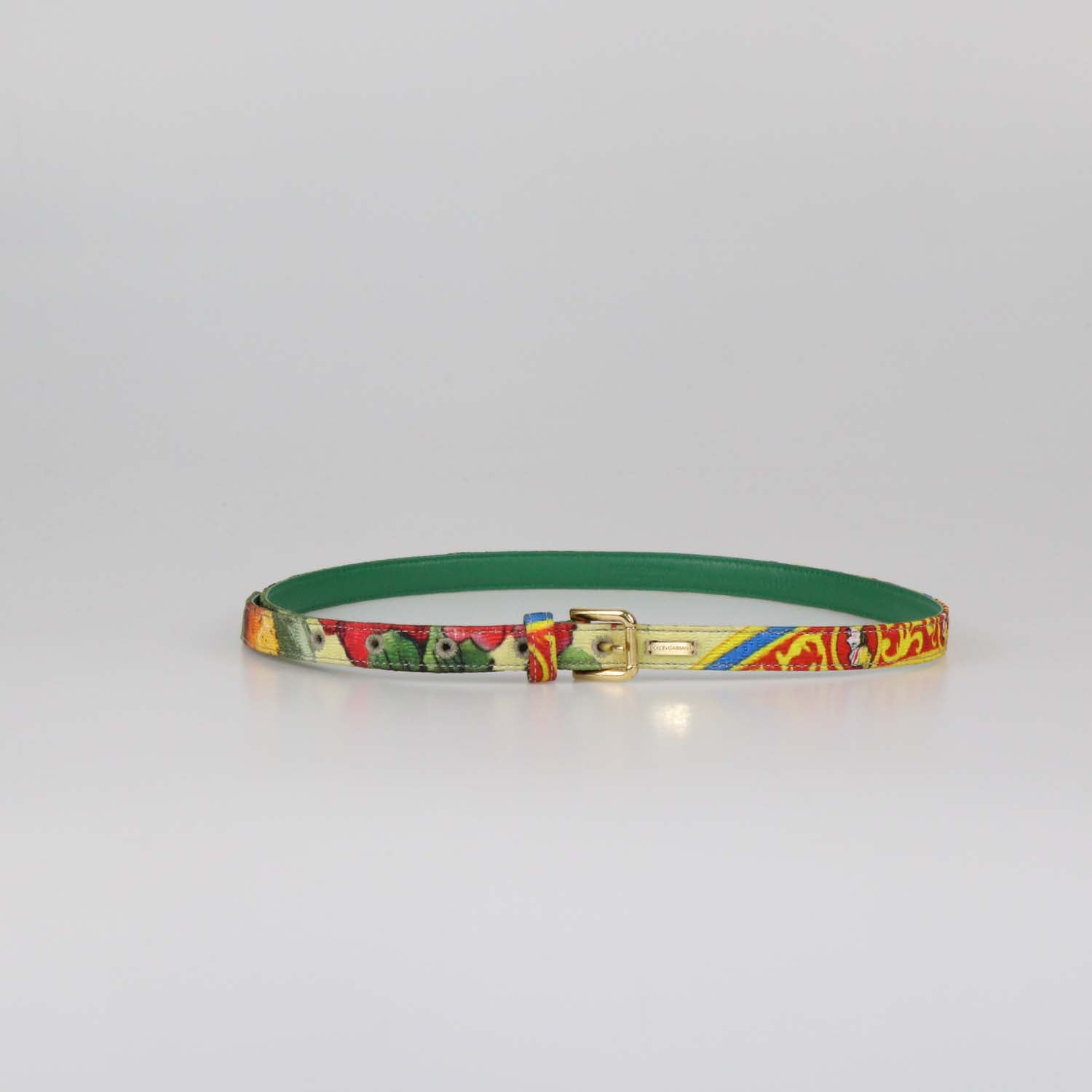 Dolce & Gabbana Multicolor Fabric and Leather Printed Thin Belt