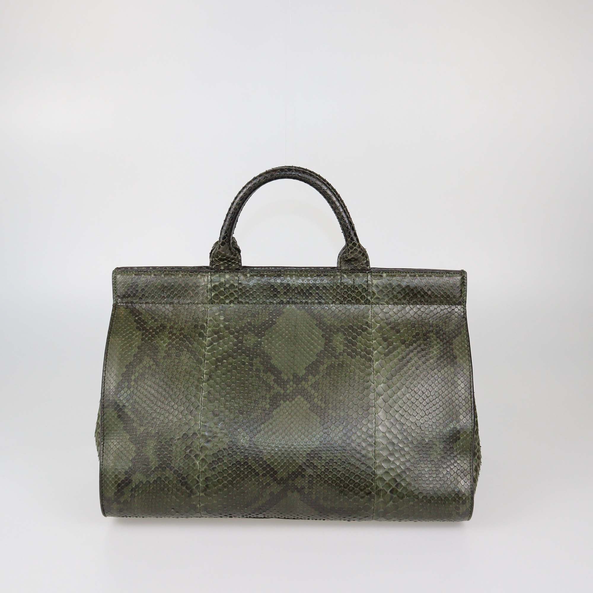 Anya Hindmarch Olive Green Python Exit Epshon Top Handle Bag