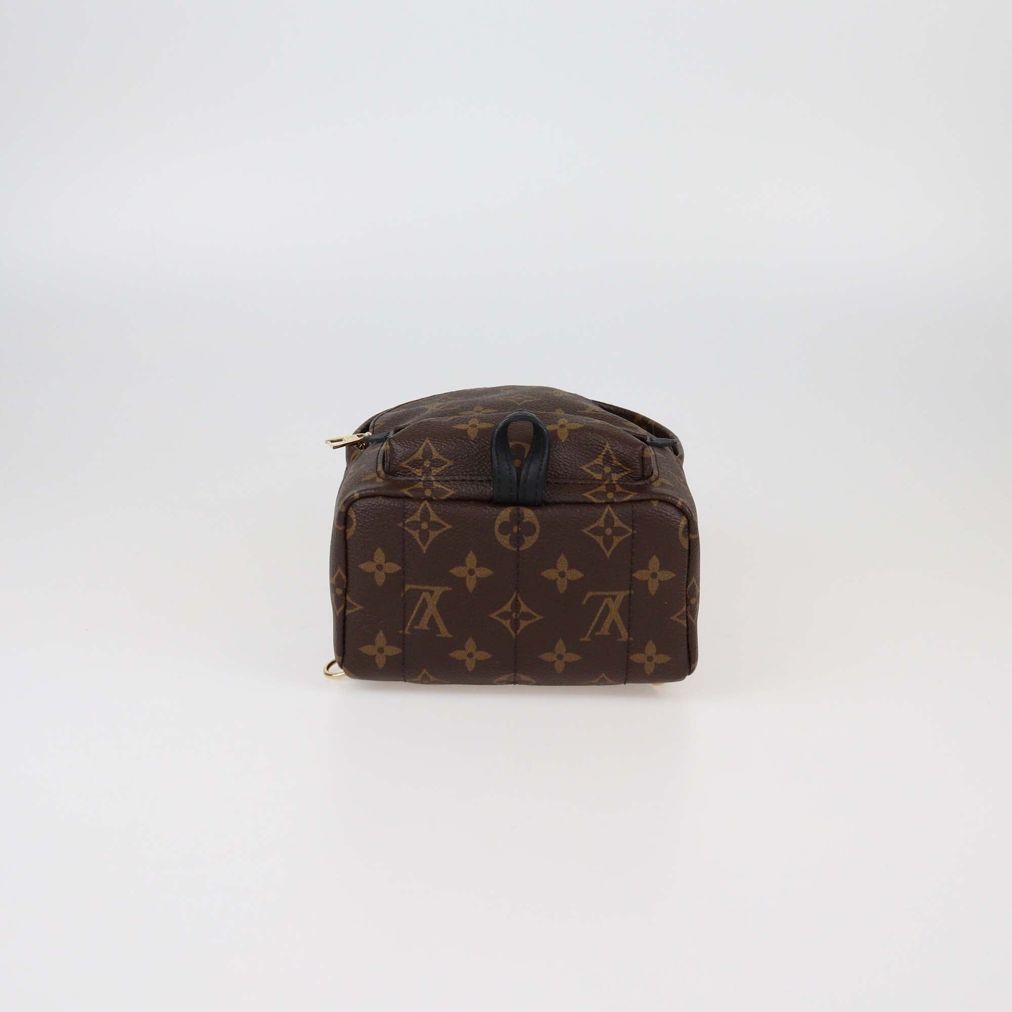 Louis Vuitton Monogram Canvas Mini Palm Springs Backpack Womens Louis Vuitton
