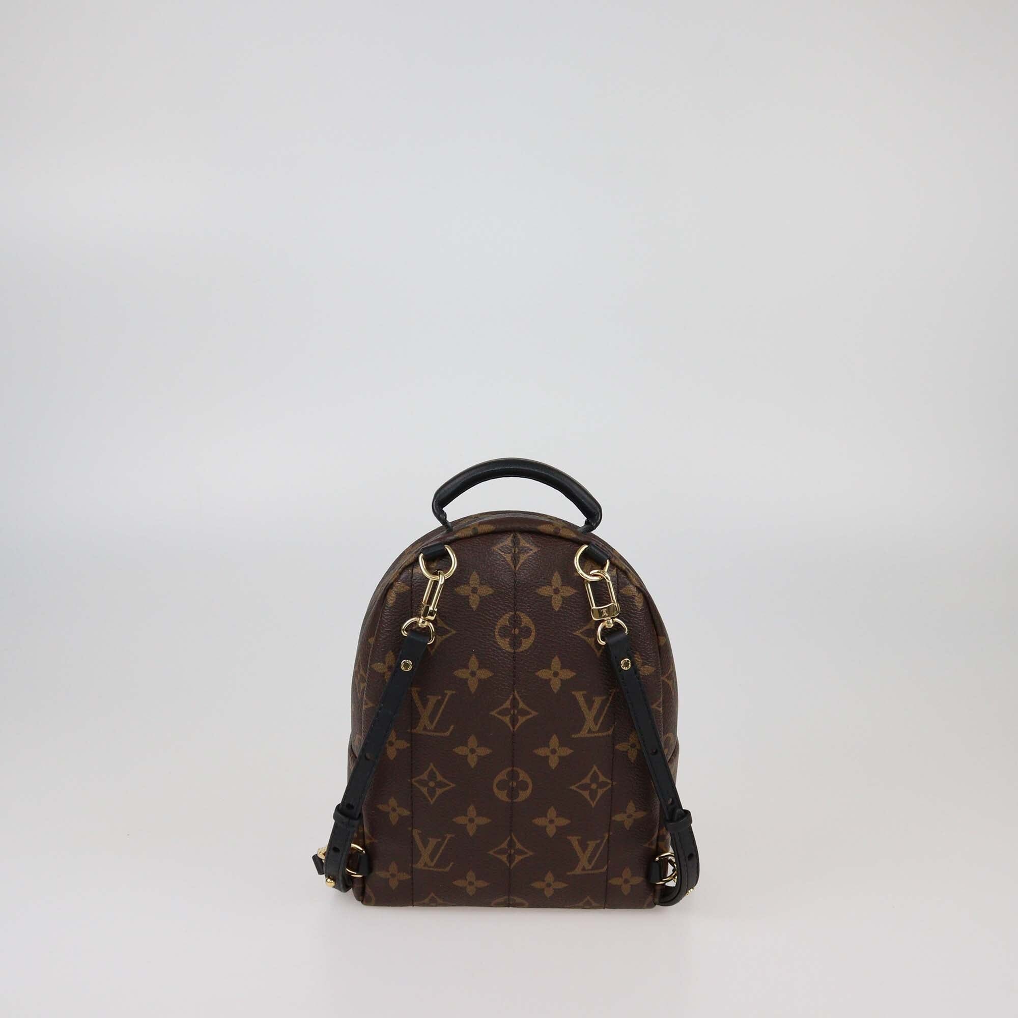 Louis Vuitton Monogram Canvas Mini Palm Springs Backpack Womens Louis Vuitton