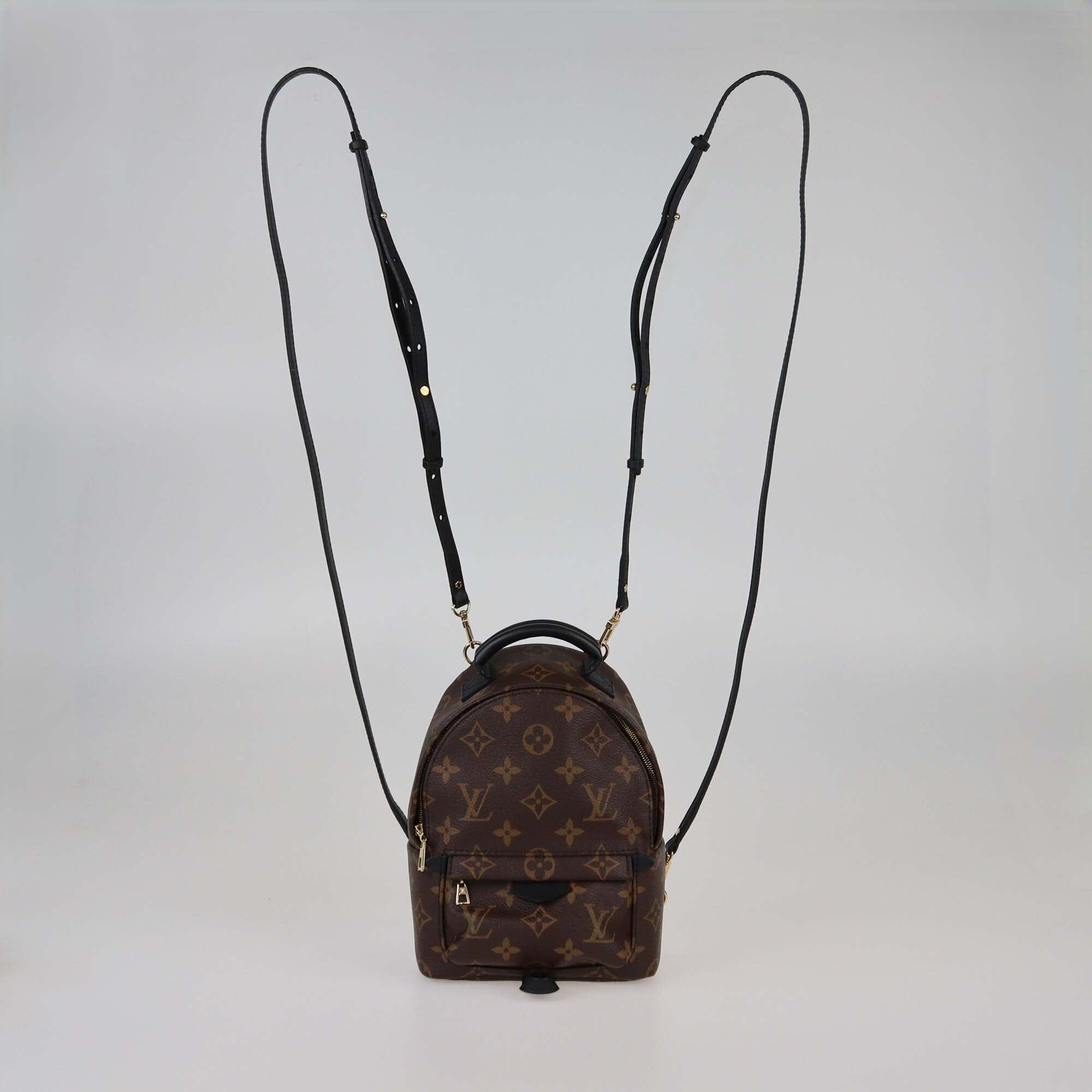 Louis Vuitton Monogram Canvas Mini Palm Springs Backpack Womens Louis Vuitton