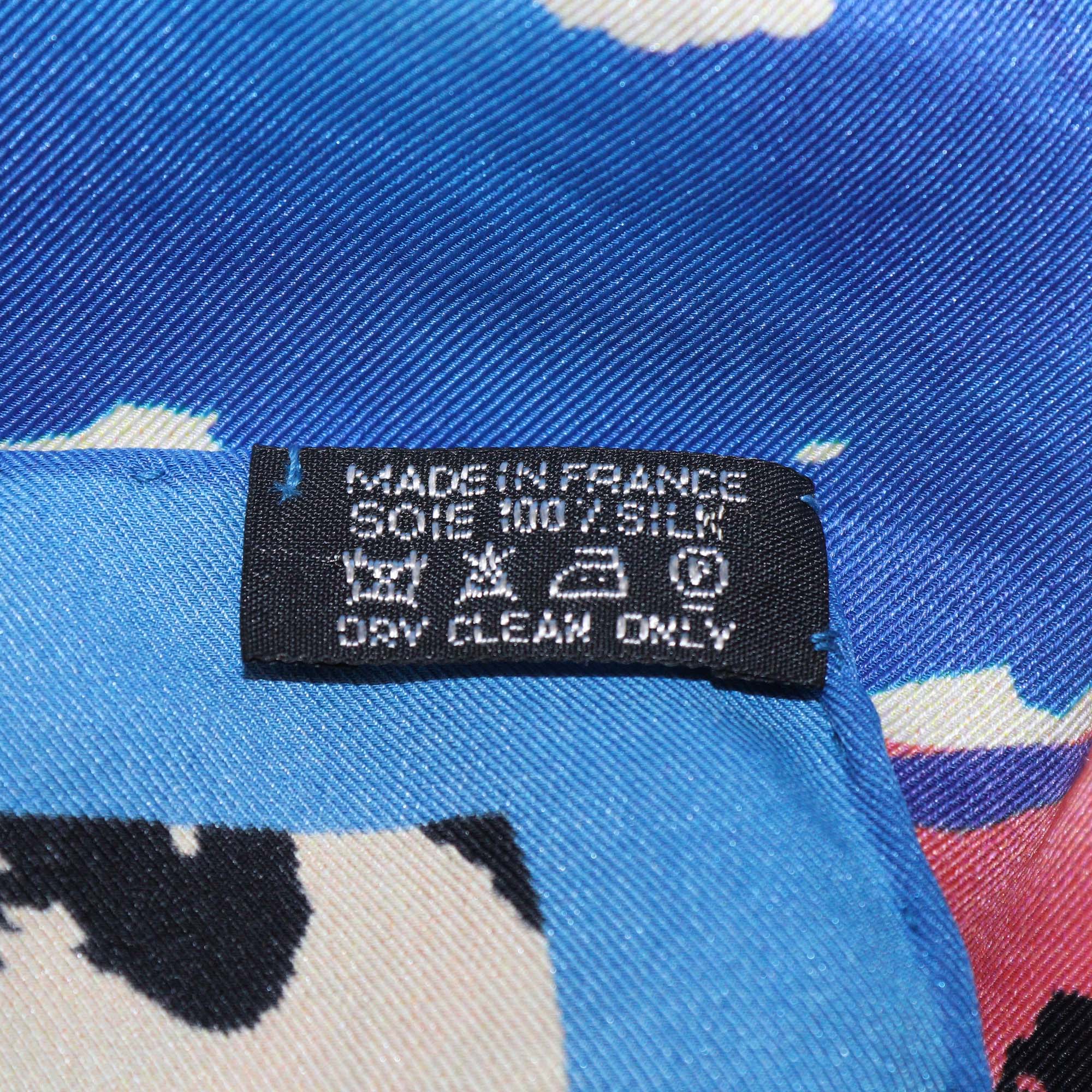 Hermes Multicolor Silk Sur Les Rives Du Leman Print Scarf 70