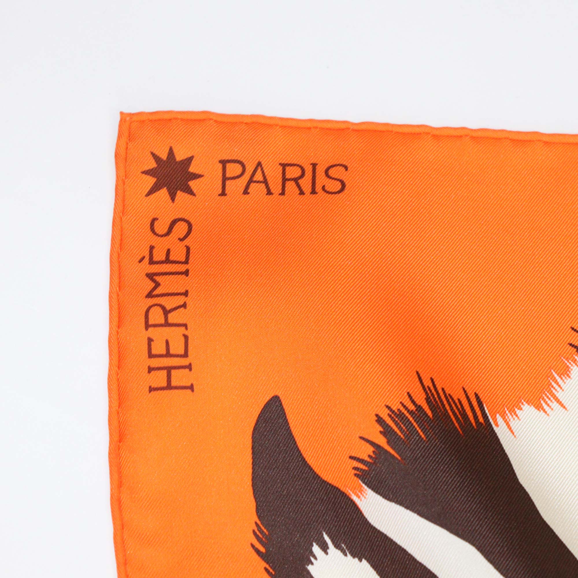 Hermes Multicolor Silk Zebra Pegasus Scarf 90