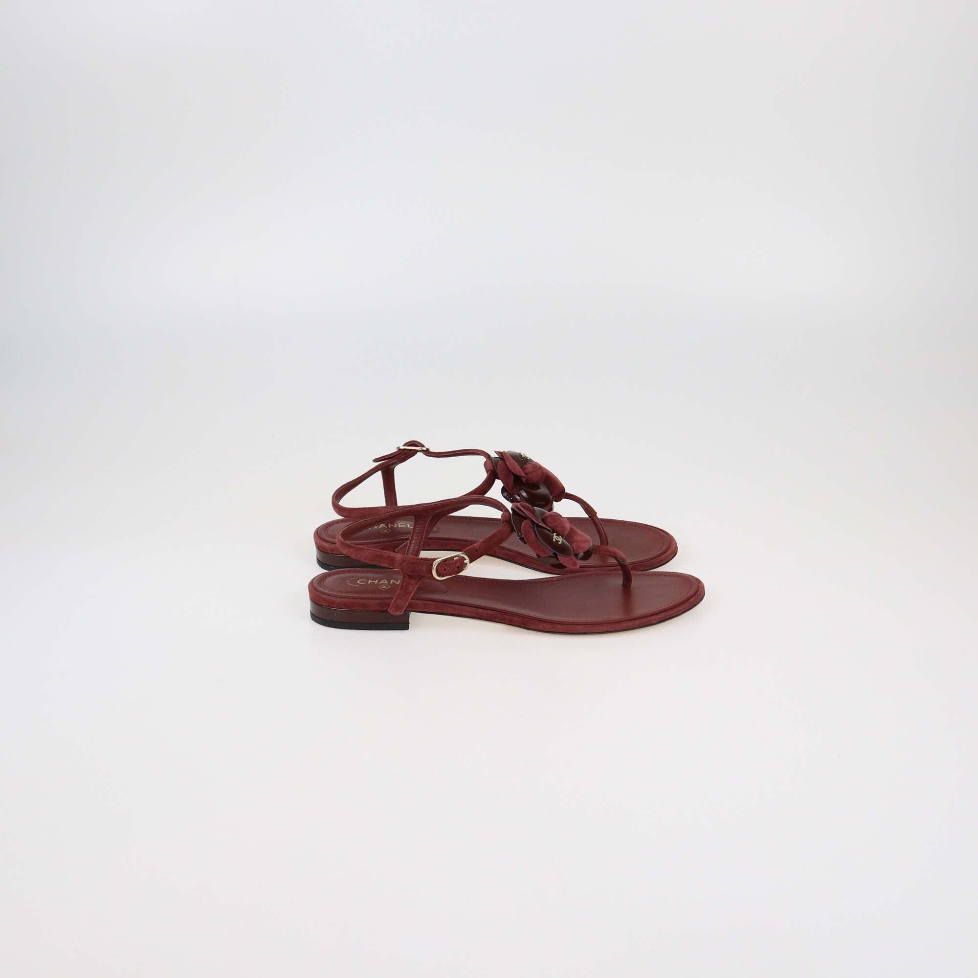 Chanel Burgundy Suede Leather CC Camellia Flat Thong Sandals Womens Chanel 
