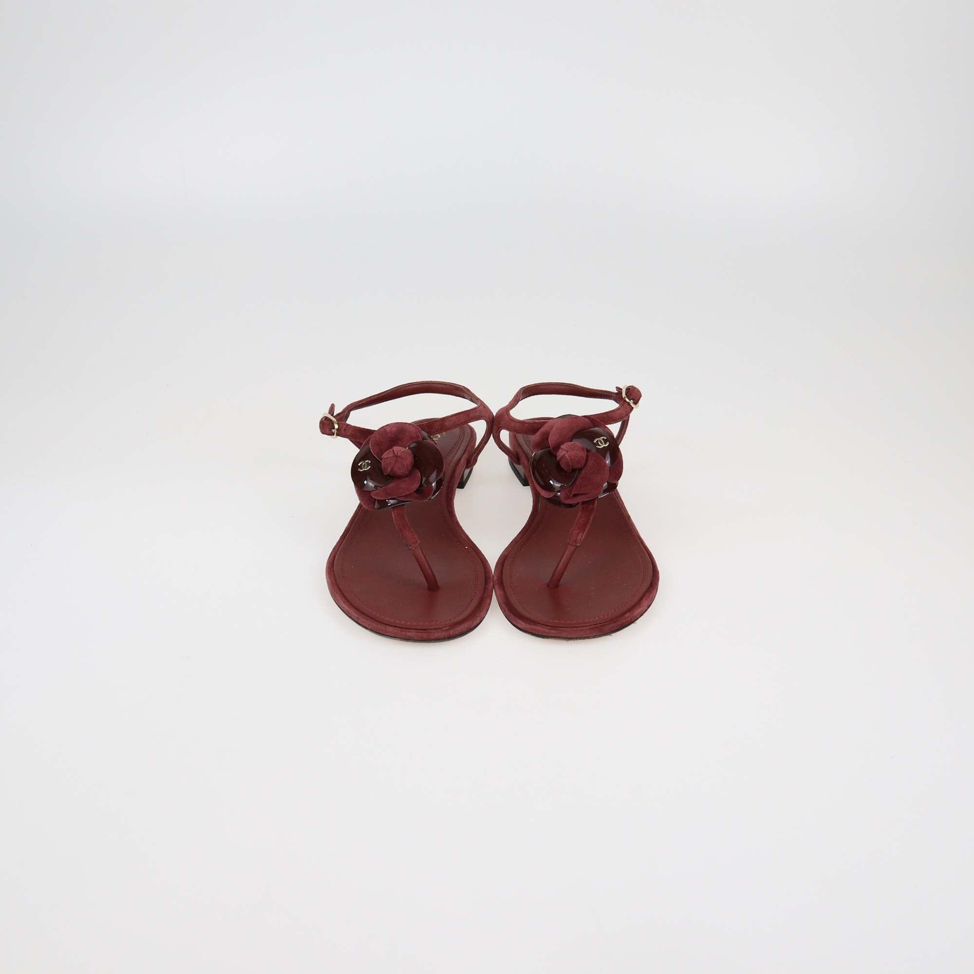 Chanel Burgundy Suede Leather CC Camellia Flat Thong Sandals Womens Chanel 