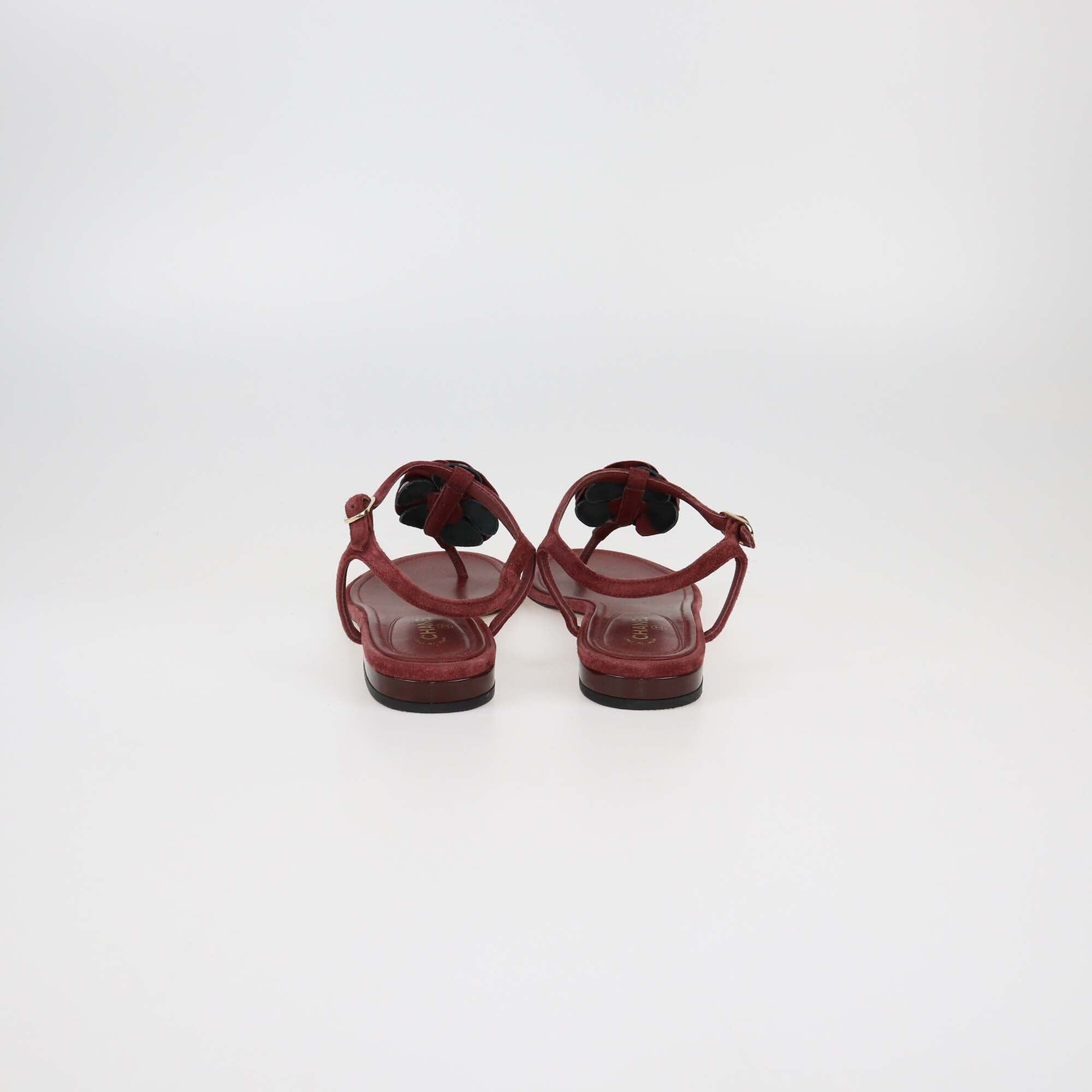 Chanel Burgundy Suede Leather CC Camellia Flat Thong Sandals Womens Chanel 