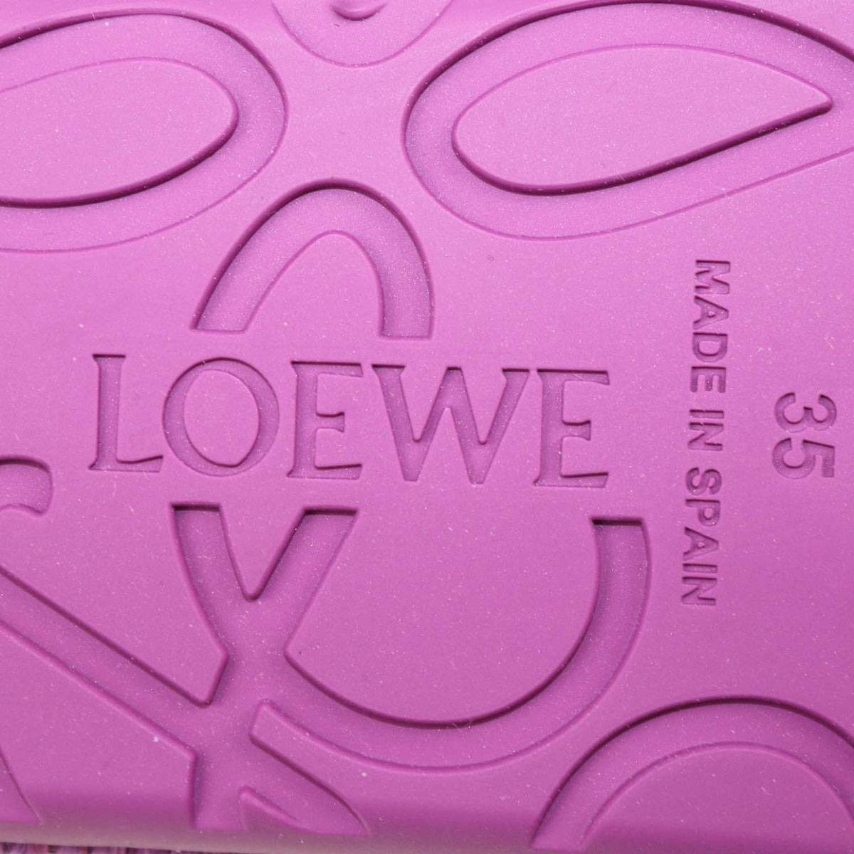 Loewe Orchid Suede and Raffia Rio Mary Jane Ballet Flats