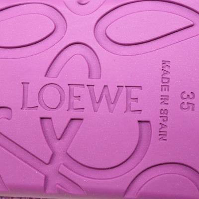 Loewe Orchid Suede and Raffia Rio Mary Jane Ballet Flats