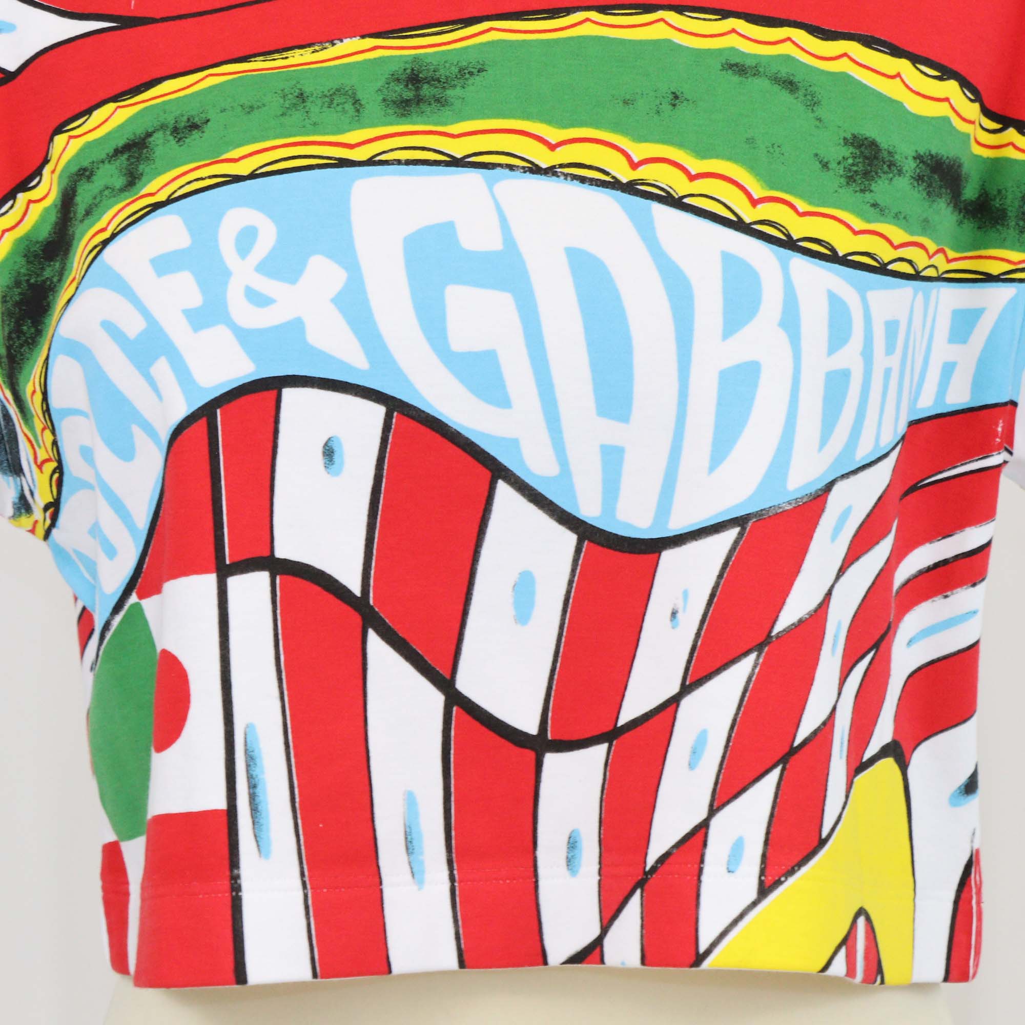 Dolce & Gabbana Multicolor Cotton Carreto Print Crop T-Shirt