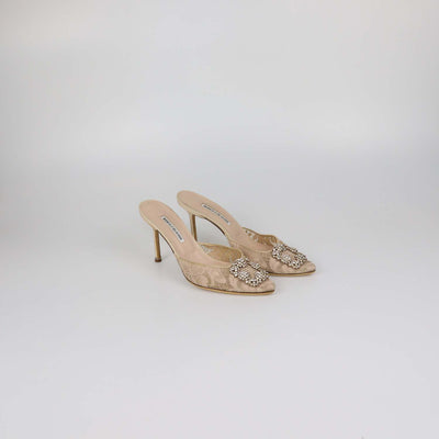 Manolo Blahnik Nude Lace Hangisi Crystal Mule