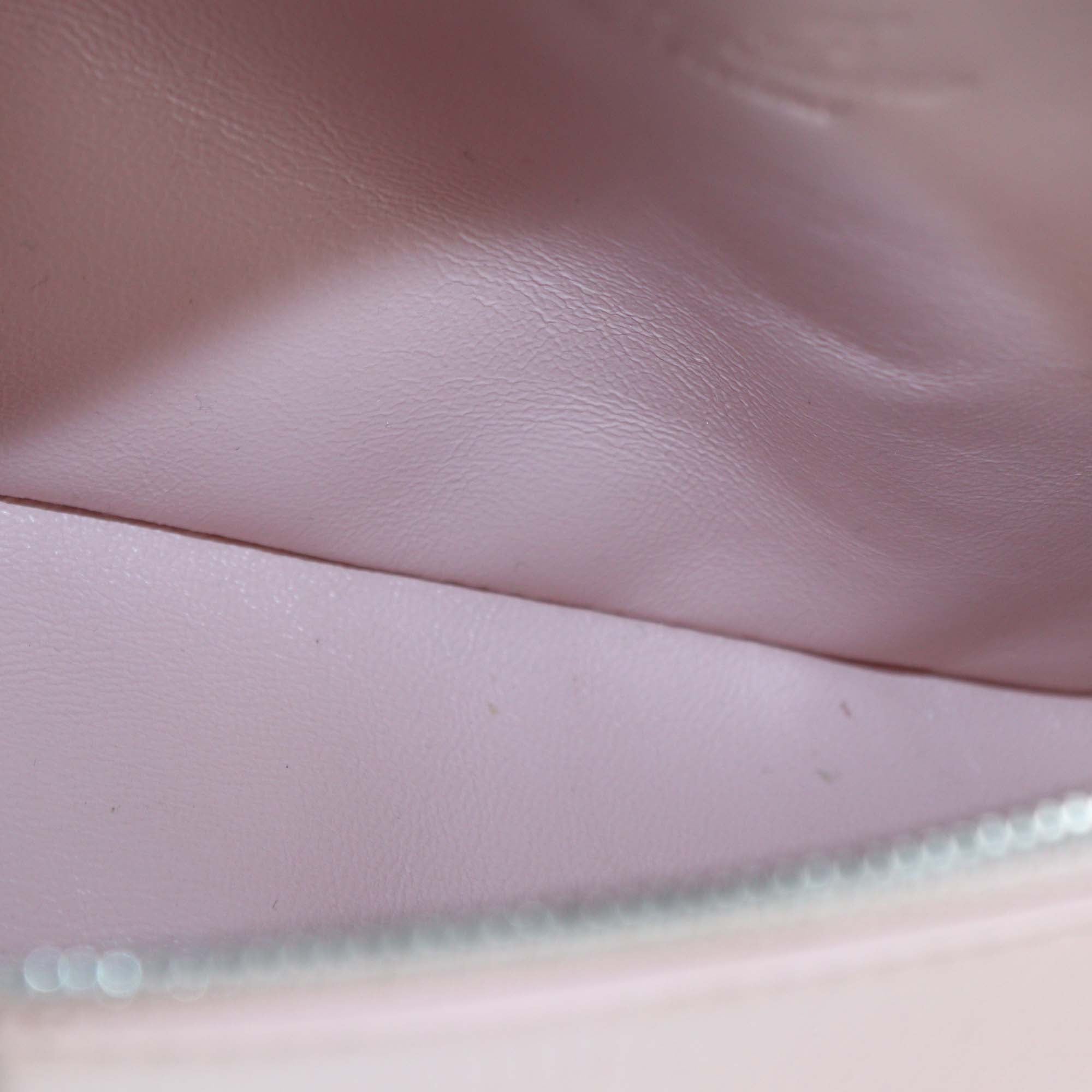 Loro Piana Pink Lizard Extra Pocket L19 Pouch