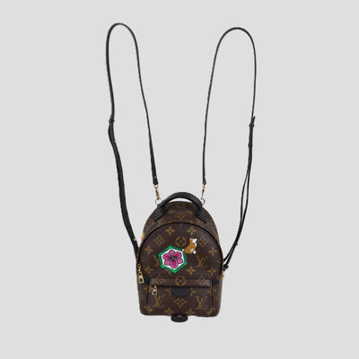 Louis Vuitton Monogram Canvas Mini World Tour Print Palm Spring Backpack