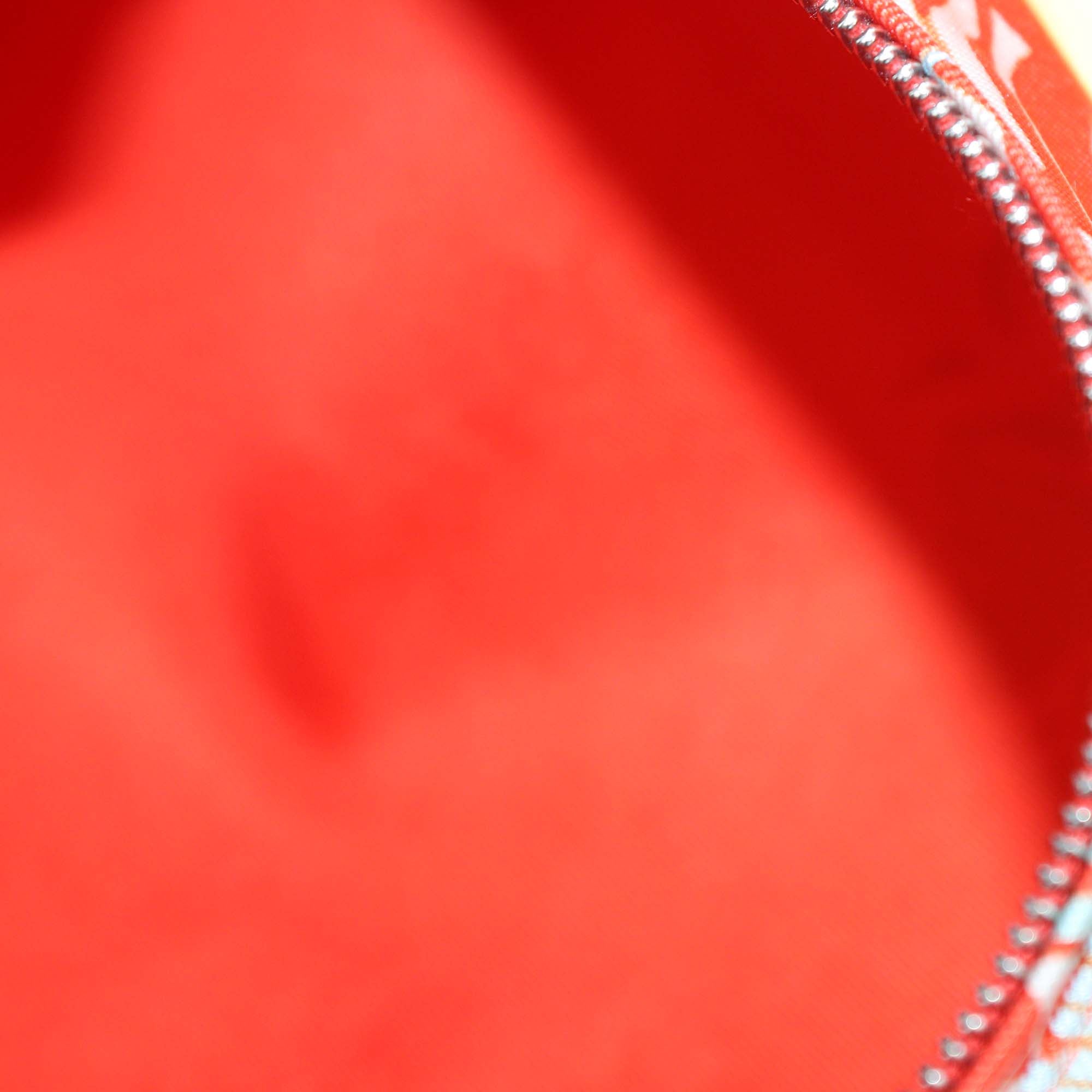 Hermes Capucine/Bleu Zéphyr/Nature Wild Print Silk Balusoie Bag