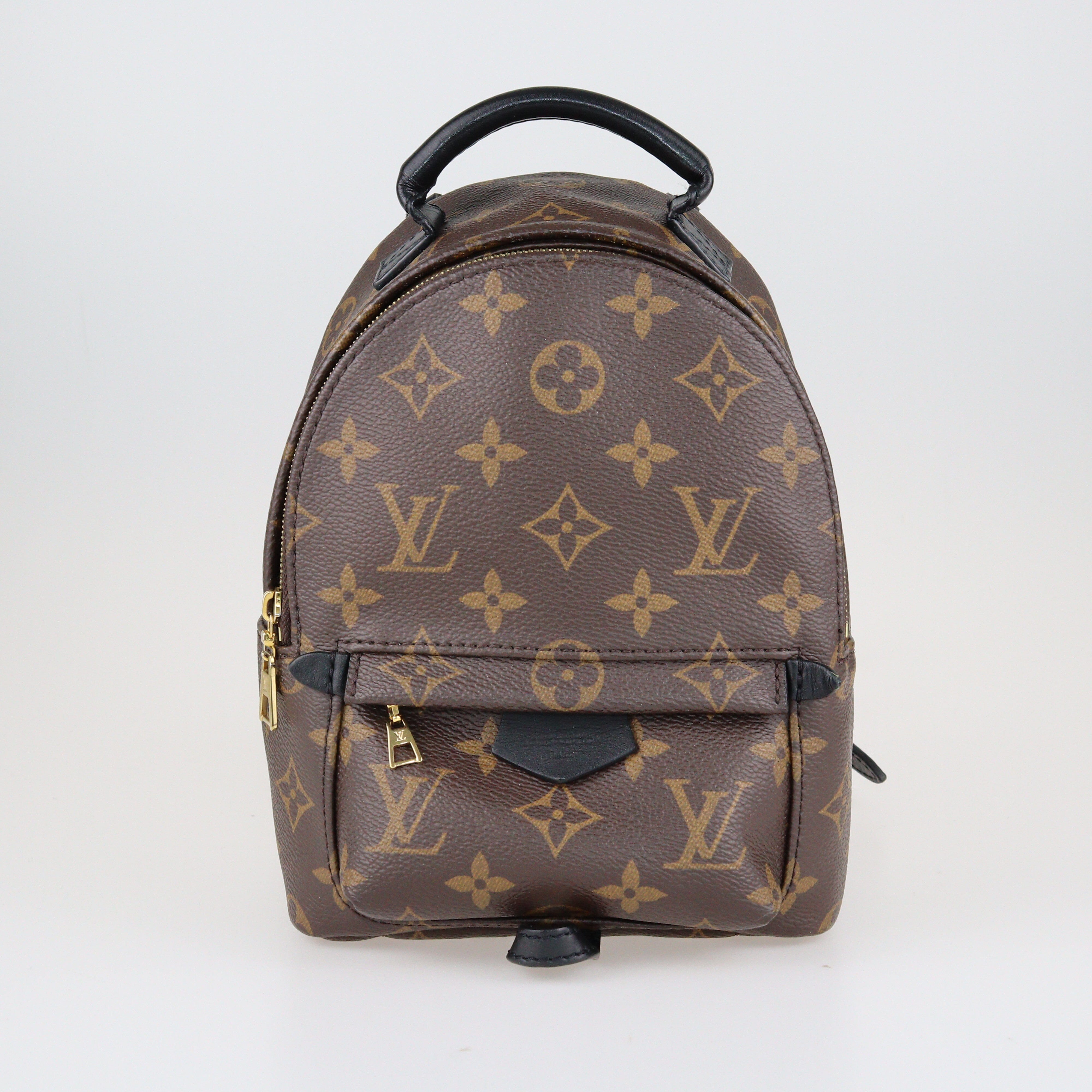Brown Monogram Palm Springs Mini Bags Louis Vuitton 