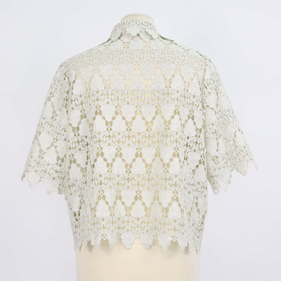 Frame Soft Mint Green Polyester Lace Button-Up Top