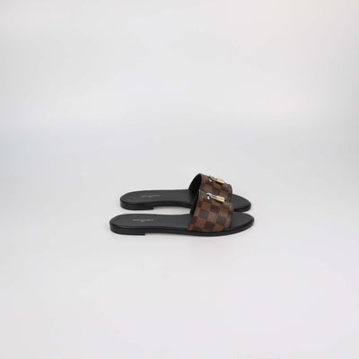 Louis Vuitton Damier Ebene Canvas Lock It Flat
