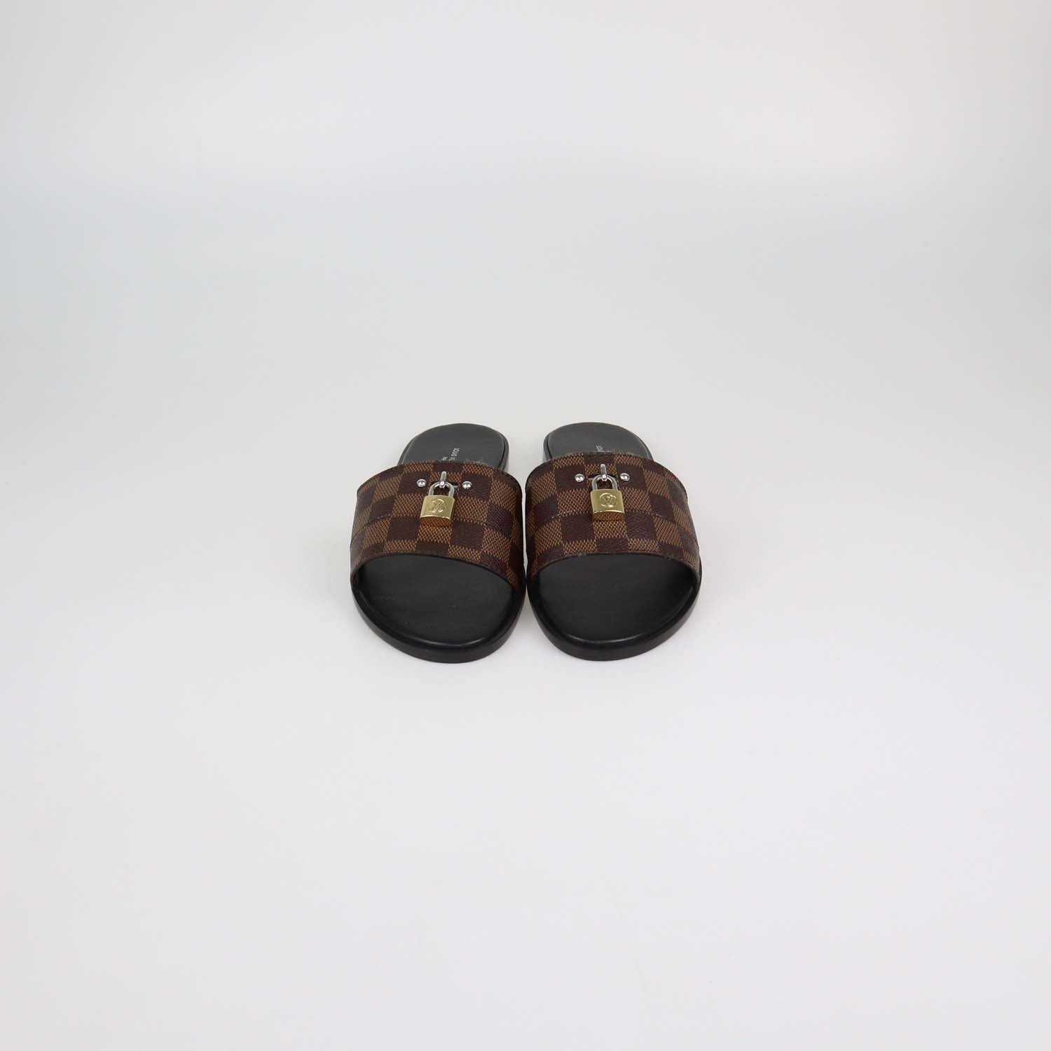 Louis Vuitton Damier Ebene Canvas Lock It Flat