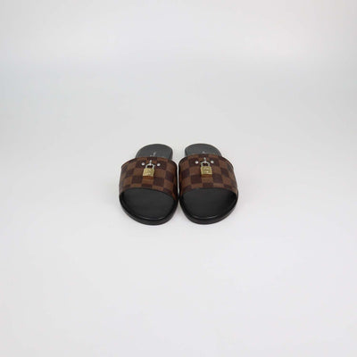 Louis Vuitton Damier Ebene Canvas Lock It Flat