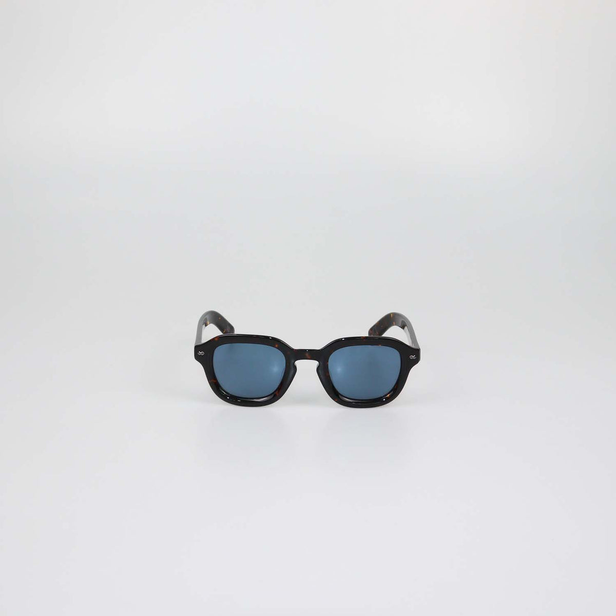 Loro Piana Havana/Blue Andre Sunglasses