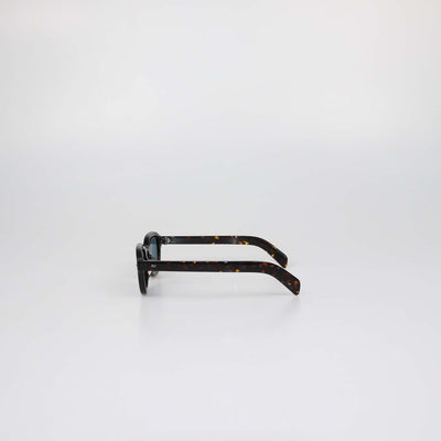 Loro Piana Havana/Blue Andre Sunglasses