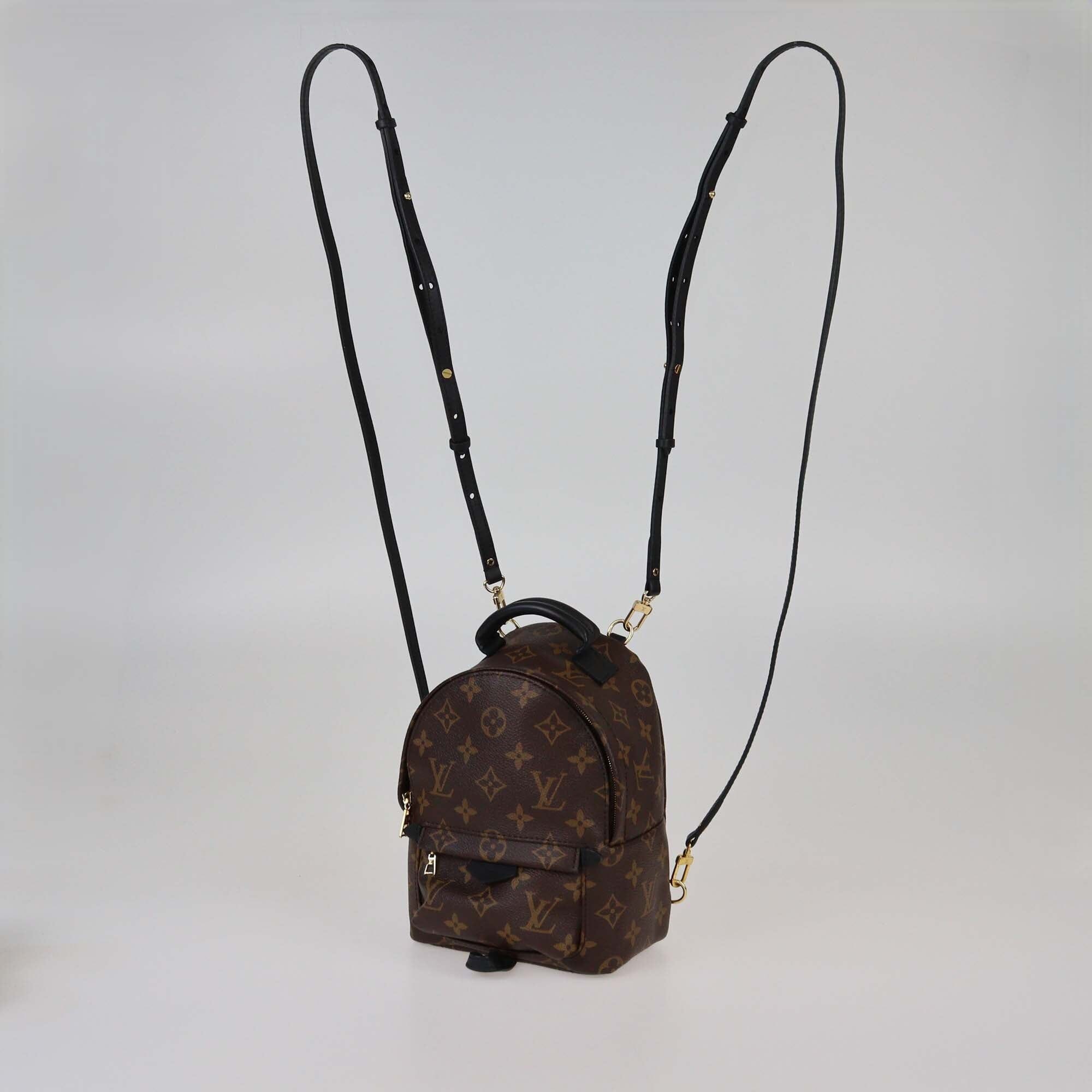 Louis Vuitton Monogram Canvas Mini Palm Springs Backpack Womens Louis Vuitton 