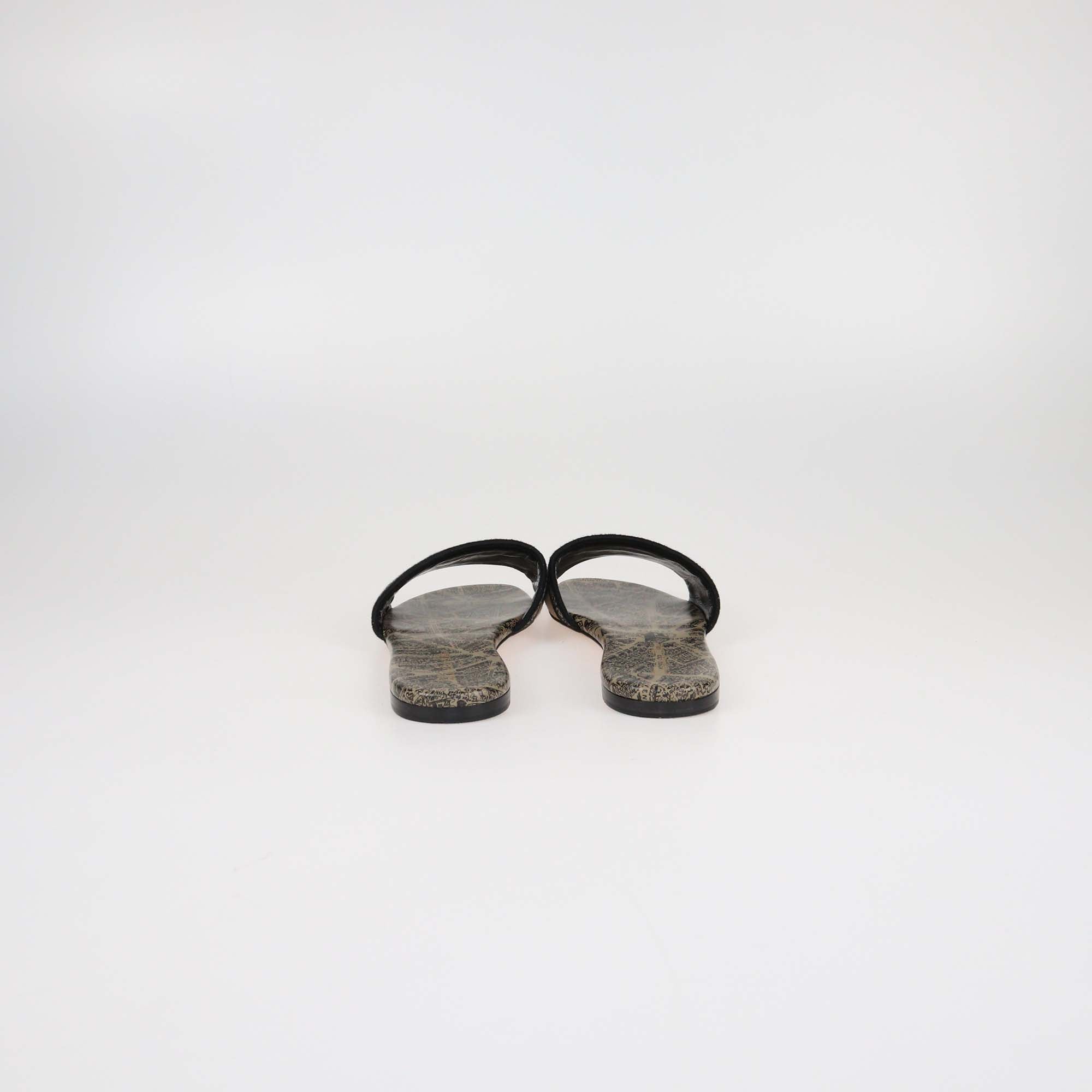 Christian Dior Brown Plan De Paris Print Dway Flat Slides