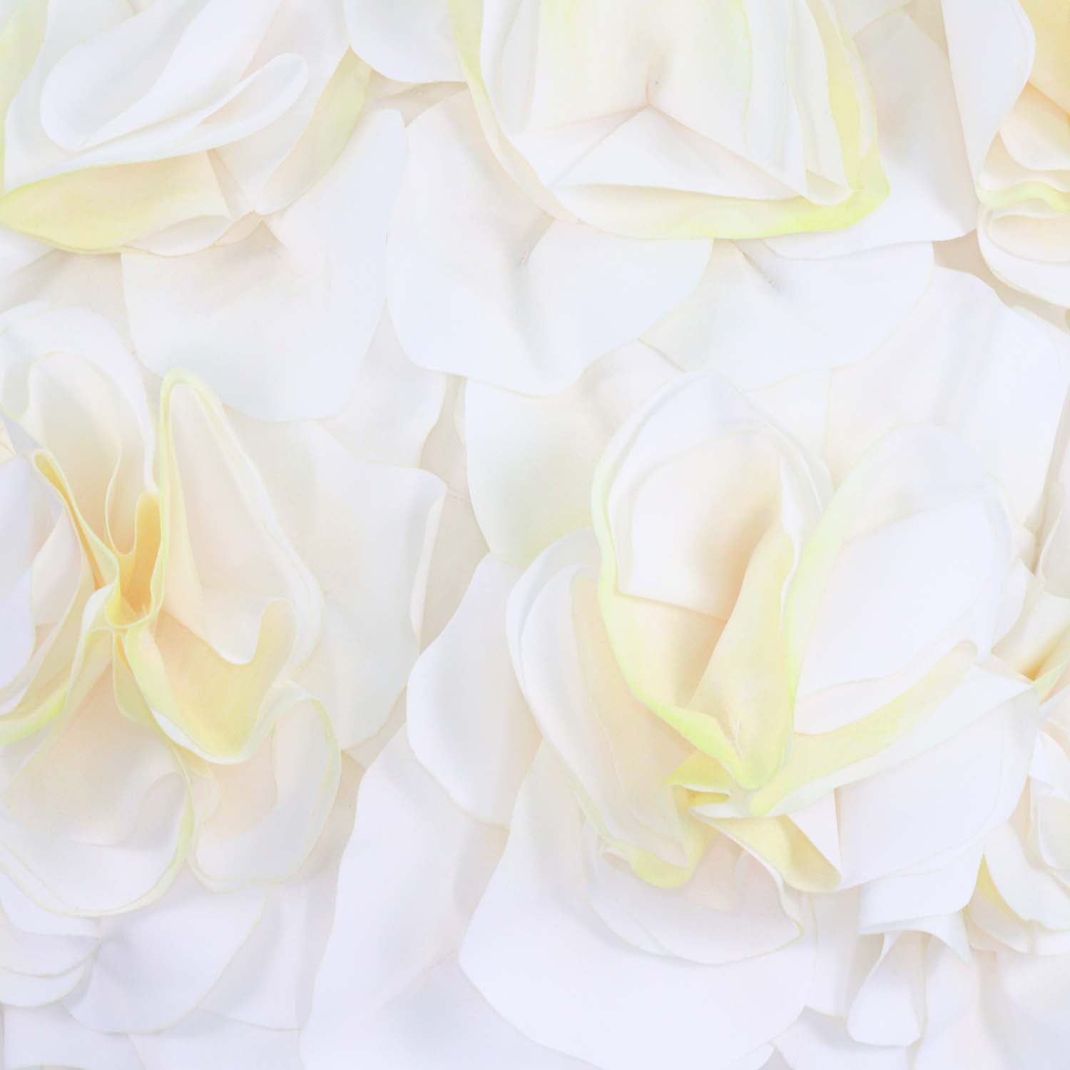Acler White/Yellow 3D Floral Applique Jackhill Top