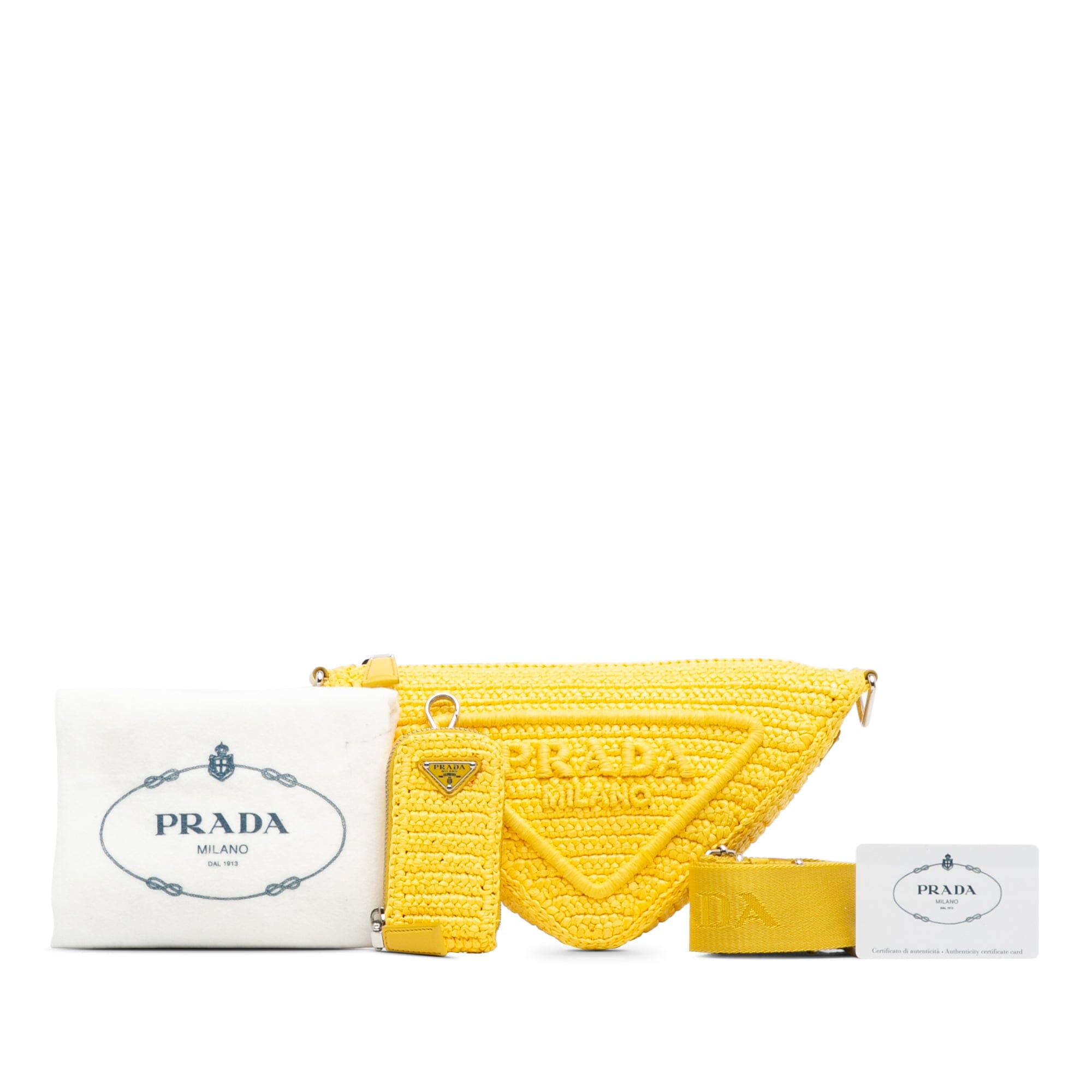 Raffia Triangle Crossbody Image#18