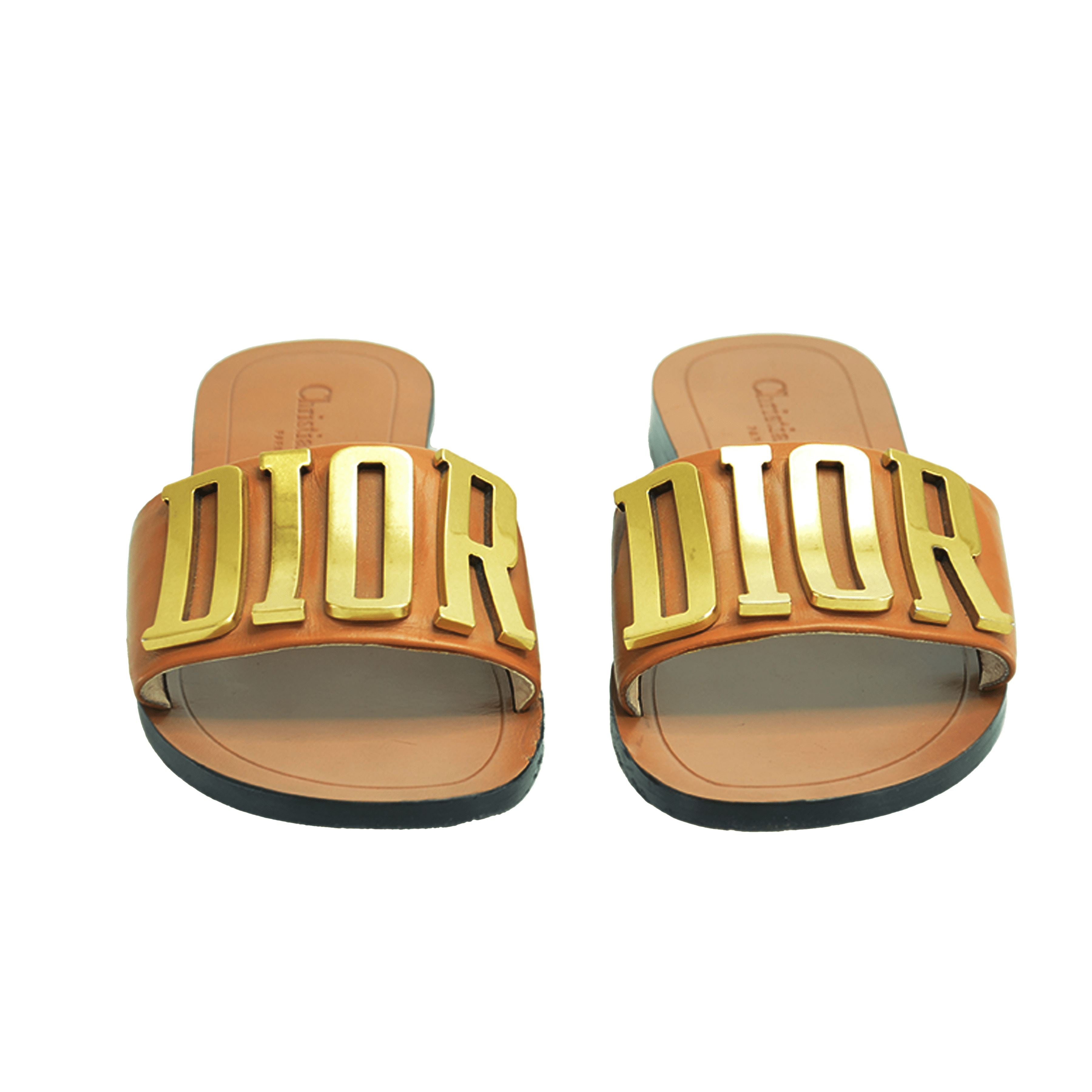 Brown Dior Evolution Slides Shoes Christian Dior 
